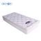Rayson Pillow Top Orthopedic Twin Spring Bed Nệm Jacquard dệt kim